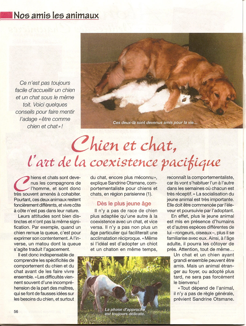 Articles Dans La Presse Sur Leducation Canine Article