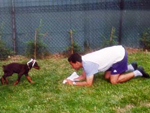 Communication canine, éducation canine