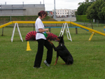 eduquer un chien, éducateur canin 75, 77, 78, 91, 92, 93, 94, 95