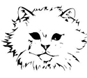 portée de chatons