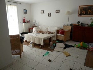 chien destructions, chien destructeur, chien ne supporte pas de rester seul, chien qui fait des bêtises, chien qui fait des dégâts, chien qui détruit