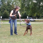 sandrine otsmane educateur canin et comportementaliste chien