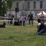 chien changement humeur