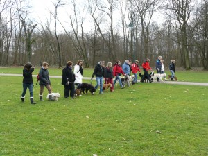 cours de sociabilité chiens, cours collectif, club canin 77, 78, 91, 92, 93, 94, 95, 75