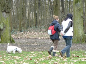 éducation canine à domicile 75, 78, 77, 91, 92, 93, 94, 95