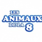 émission les animaux de la 8 avec Sandrine Otsmane éducateur canin et comportementaliste chien et chat