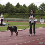 footing avec son chien canicross Paris