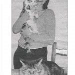 chat comportementaliste