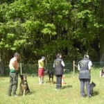 cours d'éducation canine, club canin sandrine Otsmane Educateur canin