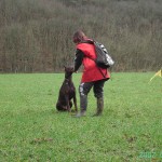 rapport d'objet chien pistage français