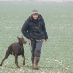 pistage canin 77, 78, 91, 92, 93, 94, 95, 75, province, ile de france, région parisienne, club de pistage canin