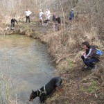 canicross à Paris balade en forêt avec chien, chien qui fugue en forêt
