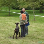 club canin sociabilité