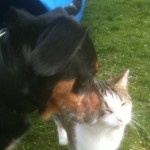 tina et bidule1