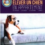 elever un chien en appartement