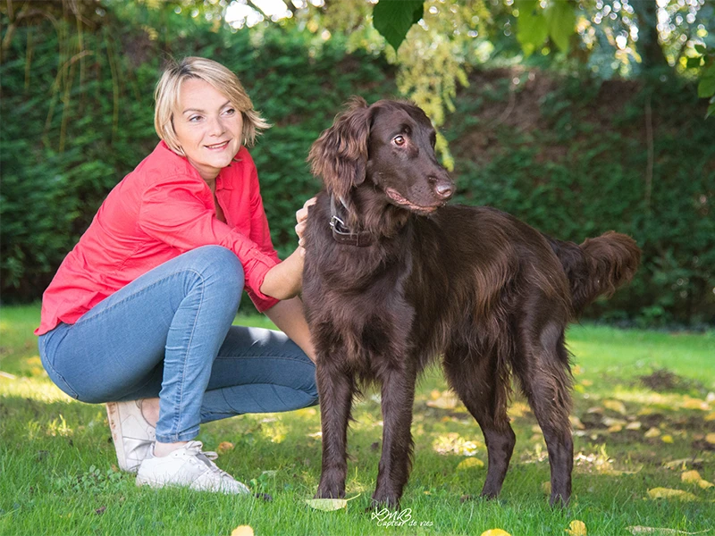 Image page Education canine apprendre le rappel à son chien