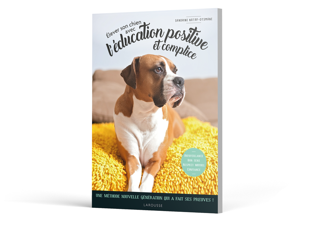 Élever un chien avec l’éducation positive et complice