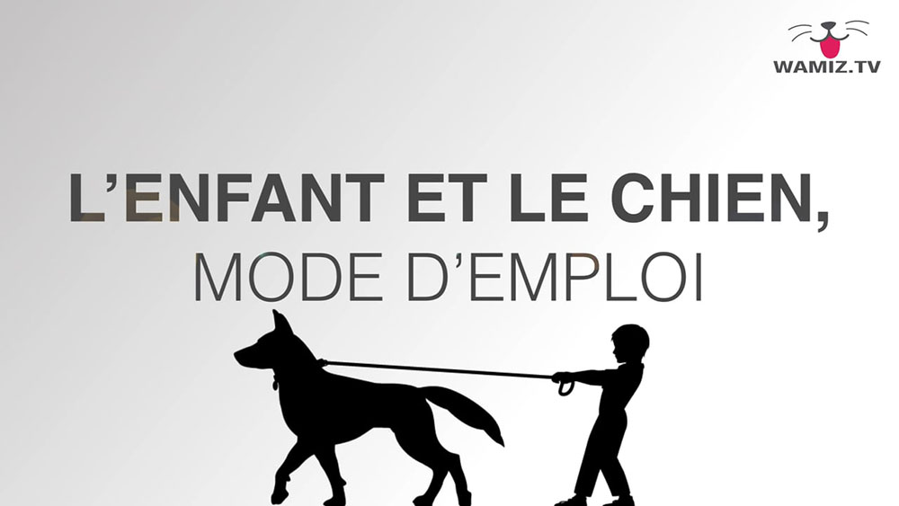 Ateliers Pr ventions Morsures Educateur Canin Seine Et Marne 
