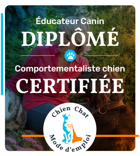 Éducateur Canin diplomé